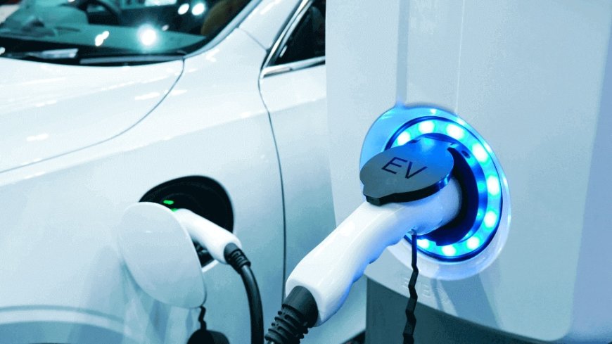 Budget 2024: Will Electric Vehicles Become Cheaper? Big Demands From Auto Sector