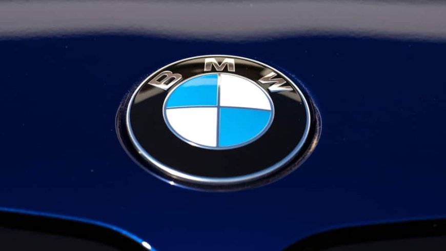 Government Incentives Crucial For EV Segment's Growth, Says BMW