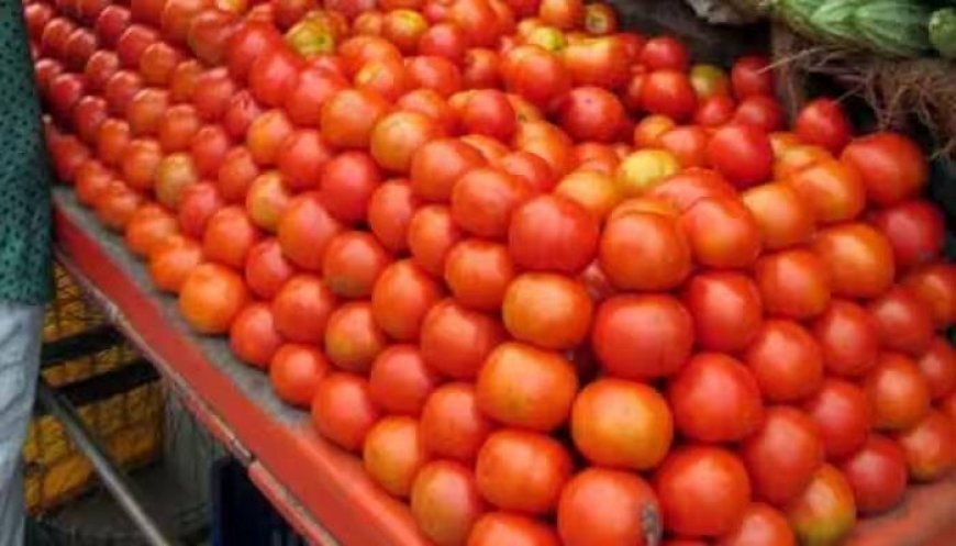 Delhi, Noida, Gurgaon Residents To Get Subsidised Tomatoes At Rs 60 Per Kg From Today--Here Are The Exact Locations