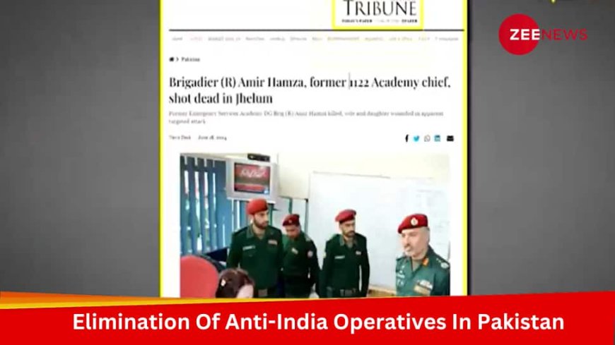 DNA Exclusive: Who Is India`s `Unknown Friend` Behind The Elimination of Anti-India Operatives In Pakistan?