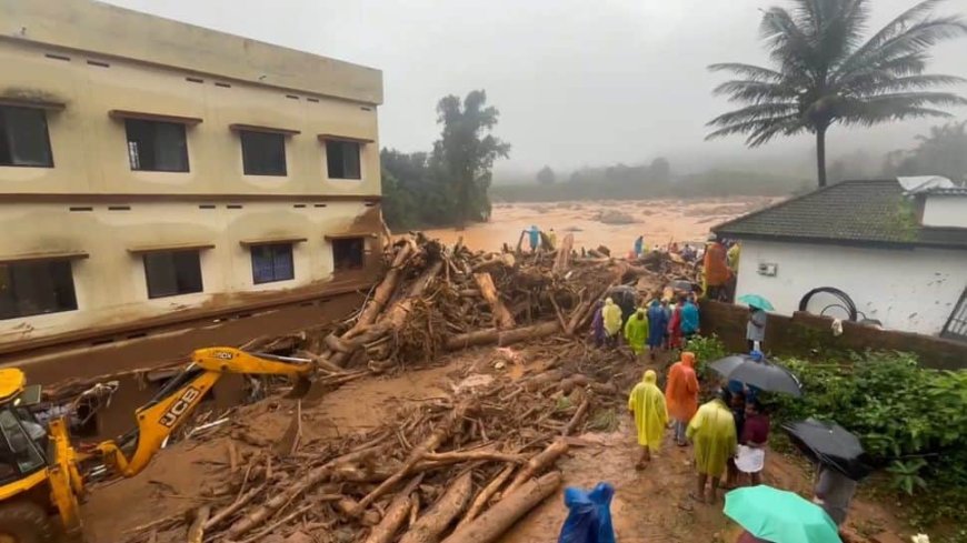 Wayanad Landslides: Death Toll Rises Over 70, Kerala Declares State Mourning on July 30 and 31