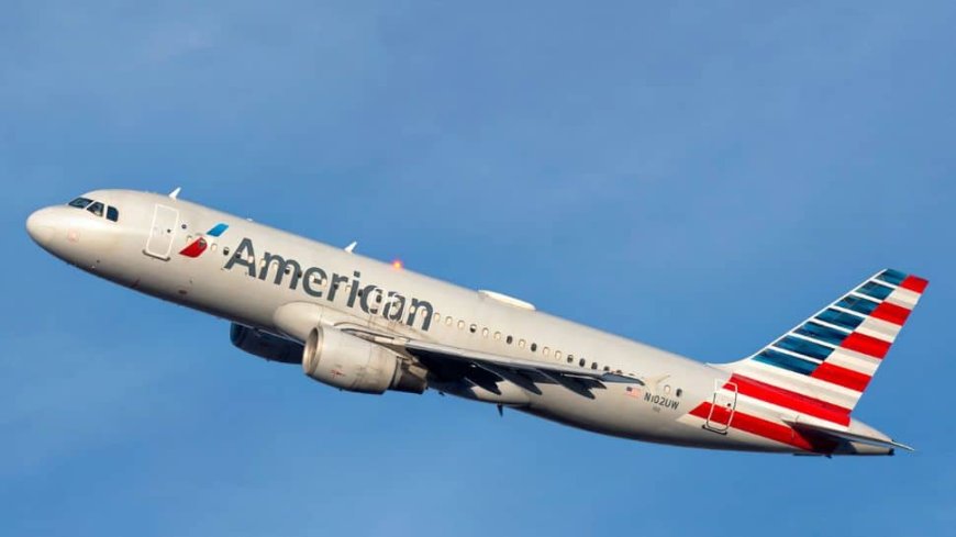 Bizarre: American Airlines Makes Emergency Landing After Passengers Spot Lice In Woman's Hair