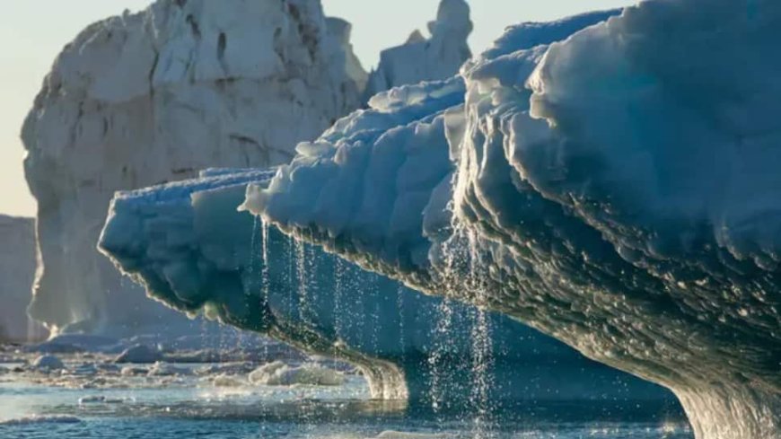 Marvel At The Tranquil: Admire the Calm Magnificence of the 13 Glaciers