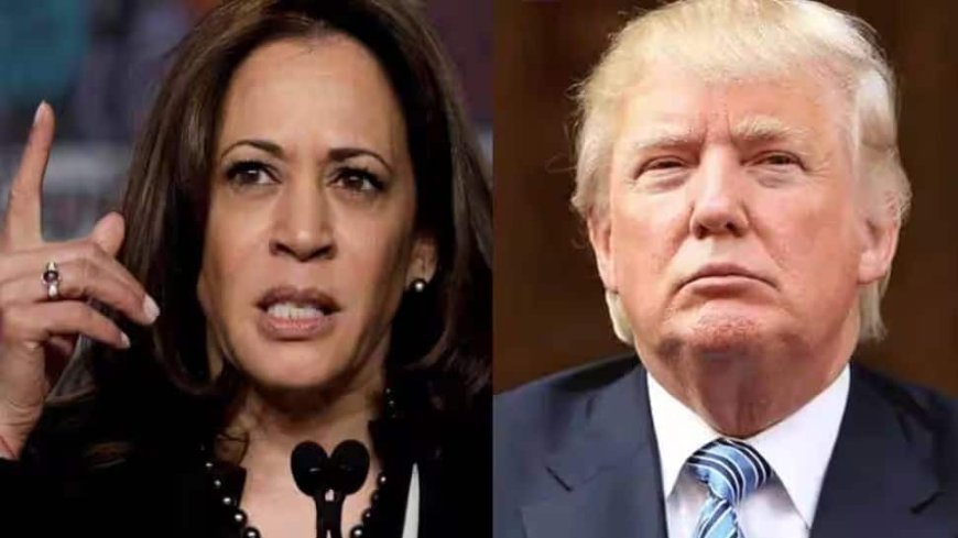 US Presidential Elections Polls: Kamala Harris Leads Trump In Pennsylvania, Michigan And Wisconsin