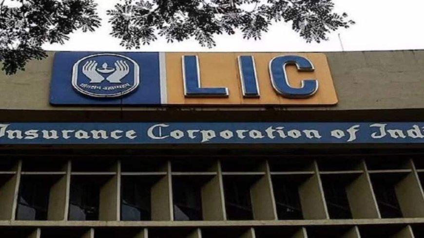 LIC To Invest Around Rs 1.30 Lakh Crore In Stock Market In FY25