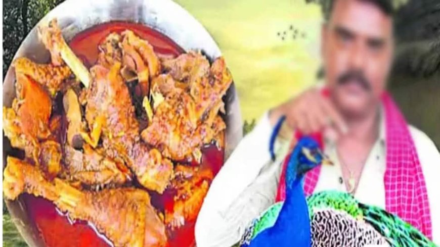 YouTuber Booked For Posting `Peacock Curry` Recipe Video, Curry Sent For Testing