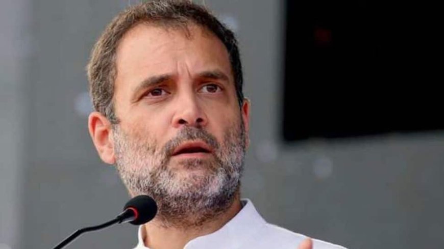 Rahul Gandhi Made Rs 46.5 Lakh Profit In Just 5 Months Amid Stock Market Boom In Modi 3.0 --Check Calculations