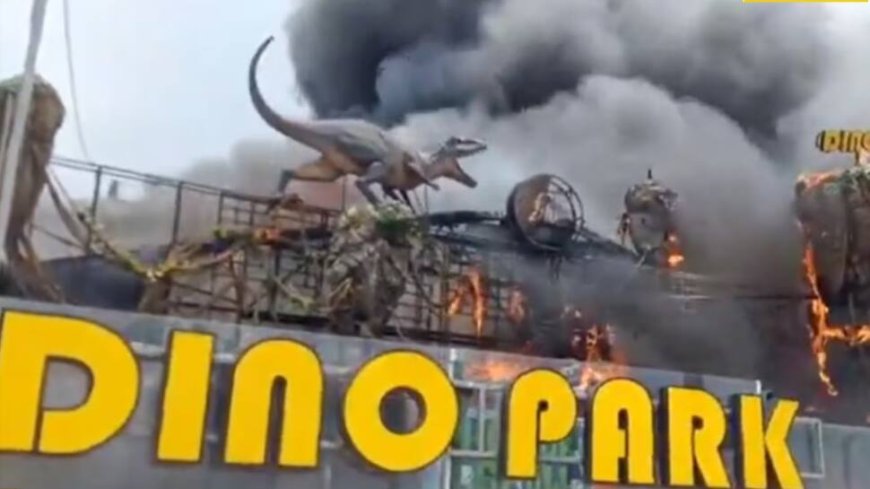 Visakhapatnam: Massive Fire Gutted Amusement Park | Watch Video