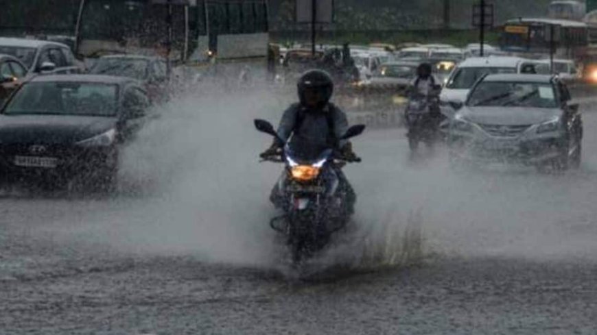 Weather Forecast: IMD Issues Orange Alert In Kerela; Heavy Rainfall Expected