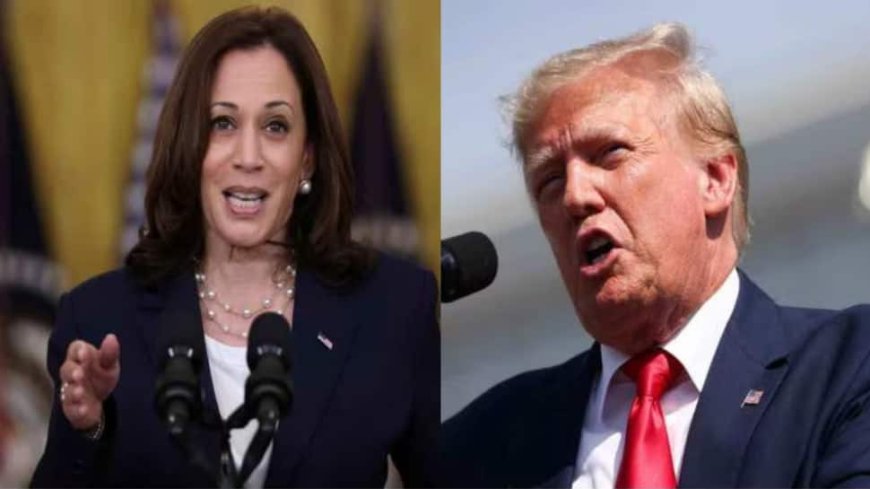 Trump Trashes Kamala Harris' Looks At Pennysylvania Rally, Claims He’s ‘Better Looking’