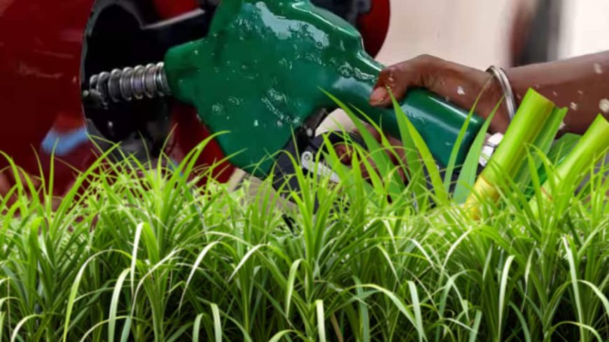 Government's 20% Ethanol Blending Goal In ESY 2025 Will Need More Sugarcane: Report