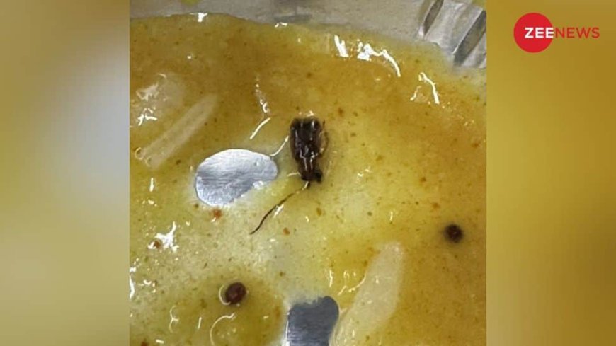 Cockroach in Vande bharat train food indian railways social media outrage