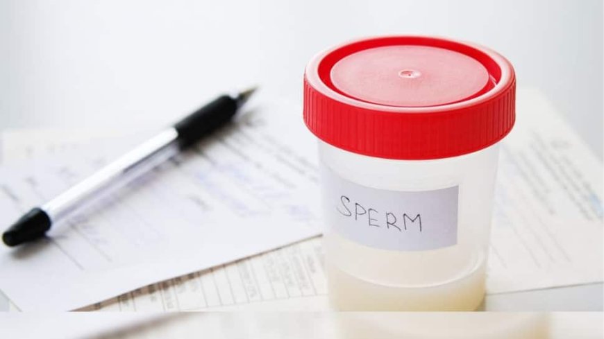 UK Sperm Exports Lead To Global Increase In 'Half-Siblings': Report