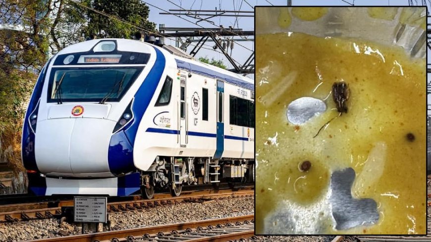 Shocking: Cockroach Found In Vande Bharat Meal, Passenger Outraged