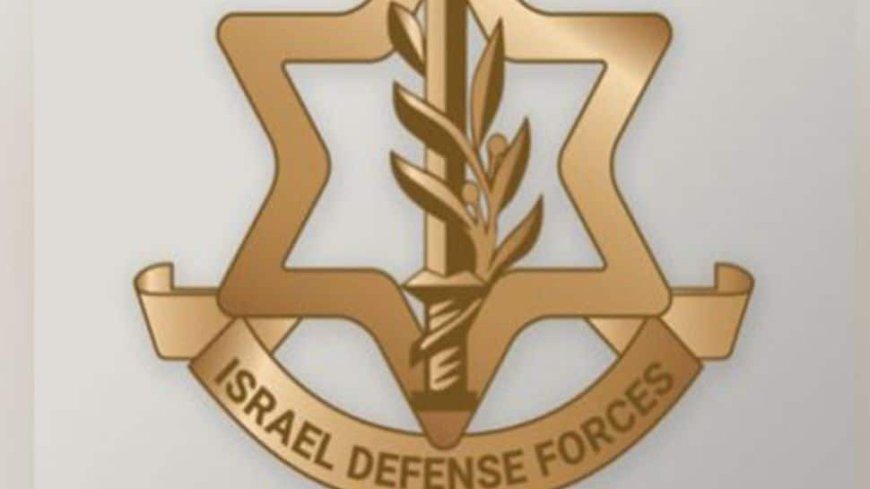 Israel's Sinai Division Eliminates More Than 200 Terrorists