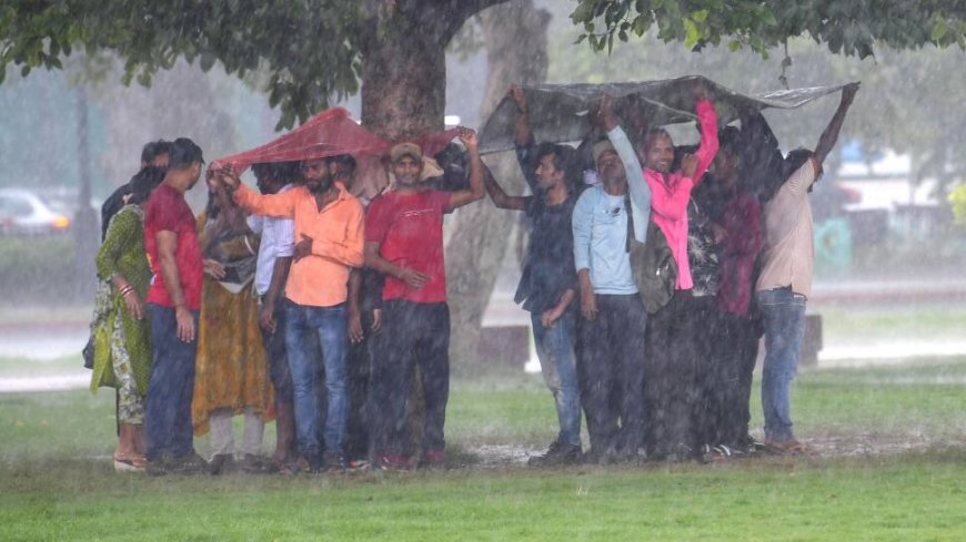 IMD Warns Of Intense Rains In Madhya Pradesh, Rajasthan, Gujarat, Maharashtra: Check Full Forecast