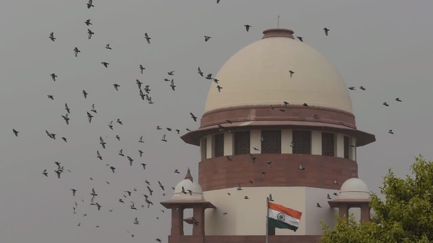 Bail Is Rule And Jail Is Exception Is Applicable Even In Money Laundering Cases: SC