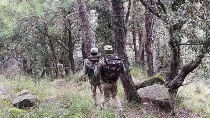 Jammu And Kashmir: 3 Terrorists Killed In Two Anti-Infiltration Operation, Says Army