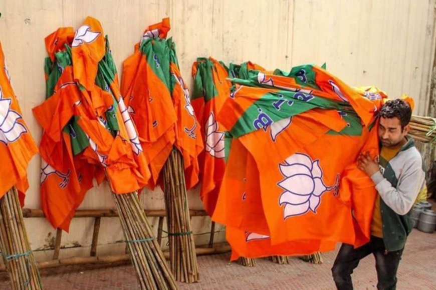 BJP Bouncing Back In Delhi? Party Defeats Ruling AAP In MCD Ward Committee Polls