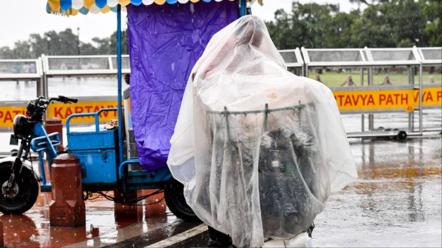 Delhi NCR Weather: Rain Lashes Parts Of Capital, IMD Predicts More Showers