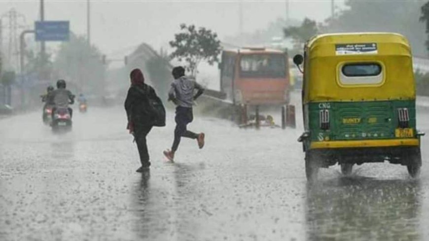 Weather Update: Delhi-NCR Experiences Drizzle, Moderate Rain Forecast For Saturday