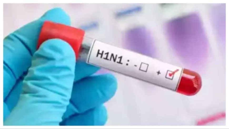 Indore Records First Swine Flu Death of the Year, Devi Ahilya University Professor Passes Away