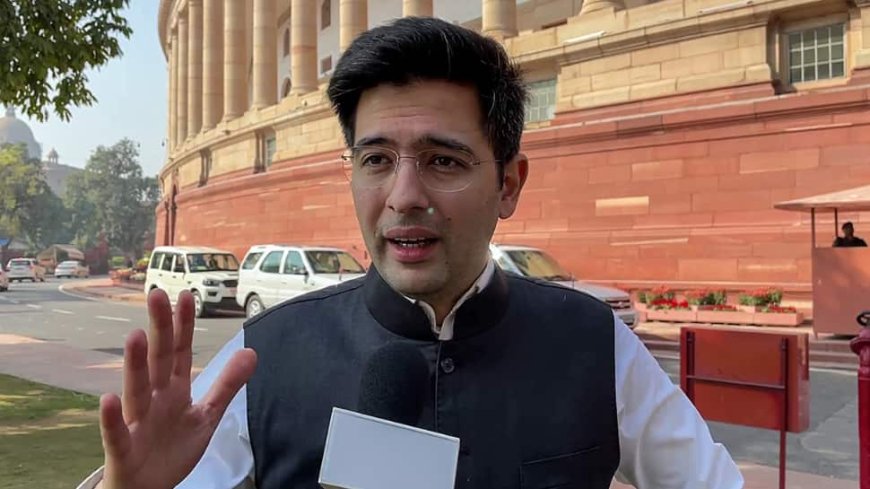 No Deal Unless It’s ‘Win-Win Situation’: MP Raghav Chadha On AAP-Congress Haryana Alliance