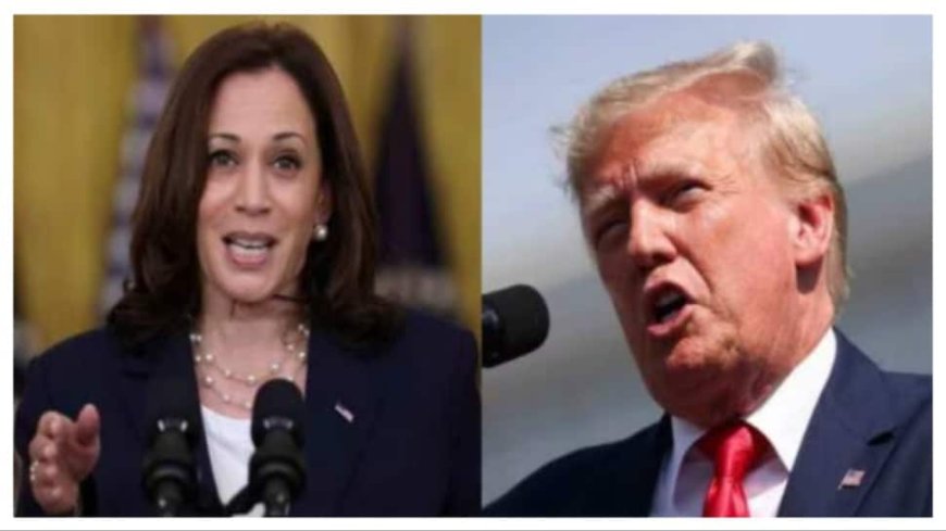 Donald Trump vs. Kamala Harris US Presidential Debate: When, Where to Live Stream The Face-Off That Could Change The 2024 Election