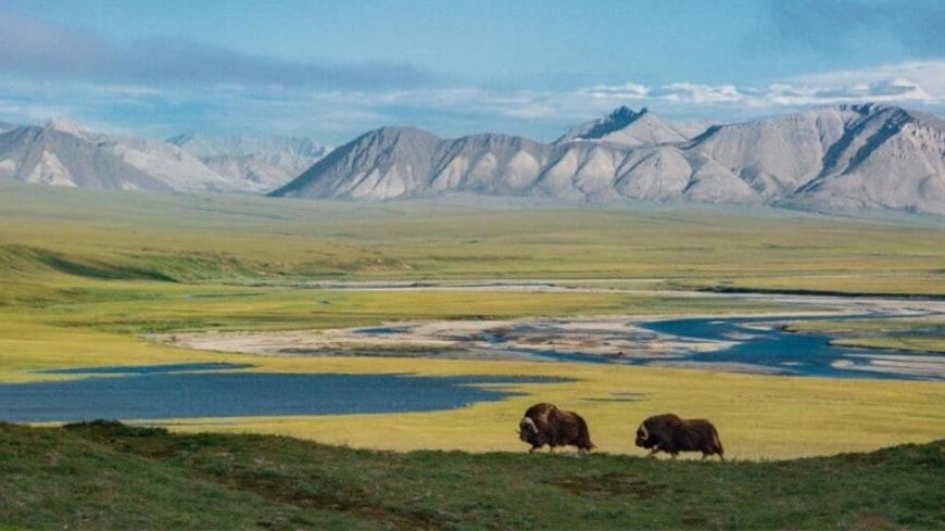 5 Massive National Parks That Cover Entire Countries