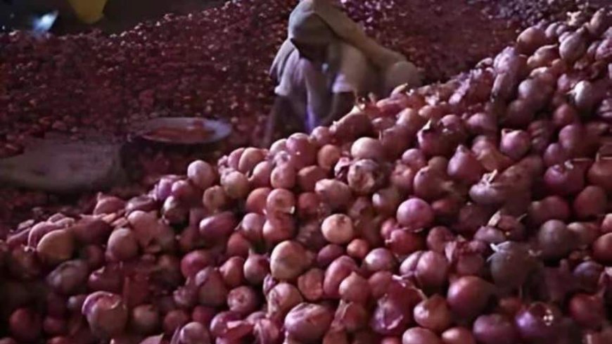 Govt Scraps Minimum Export Price Thresholds On Onion, Basmati Rice