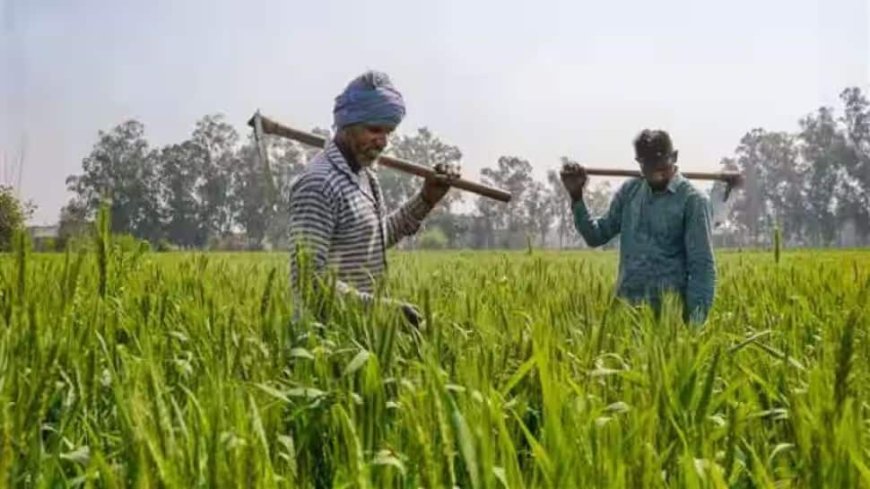 India Implementing World’s Largest Food-Based Safety Net Programmes: Minister