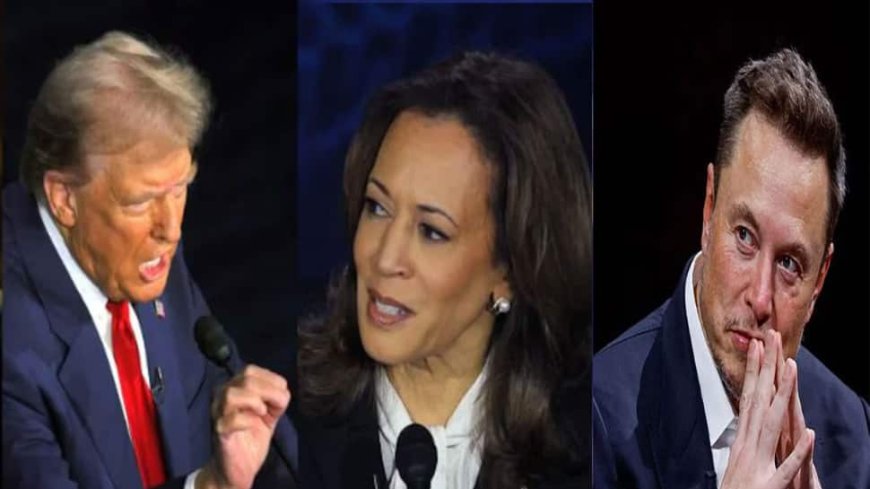 Elon Musk Asks `Why No Assassination Attempts On Biden, Harris` After Trump Suvives Another Attack