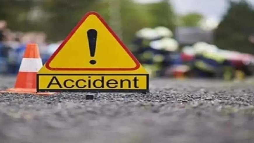 Man Riding Two-Wheeler Killed After Hit By Auto Rickshaw Driven By Female Foreign Tourist