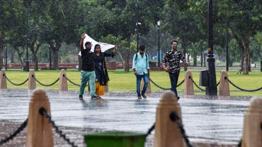 Weather Update: IMD Issues Rainfall Alerts; Delhi-NCR Forecast, Check Full Details