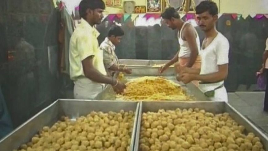 Tirupati Prasadam Row: Is Ghee Brand Change Behind `Animal Fat` In Laddoo?