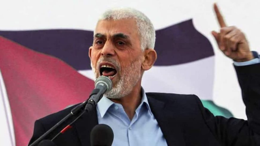 Speculation Surrounds Hamas Leader Yahya Sinwar's Death, Israel Probes: Report