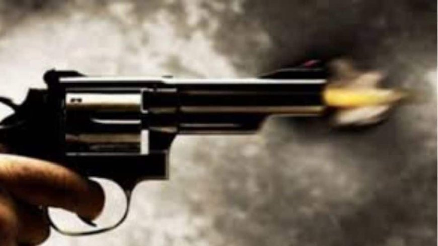 Noida Gun Shooting: 3 Arrested For Open Fire In Garderns Galleria Mall