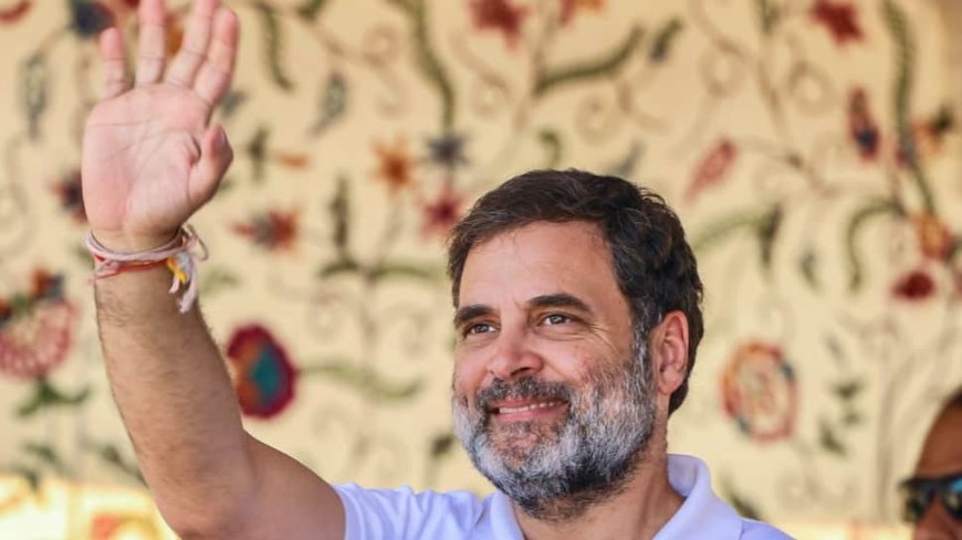 Jammu & Kashmir Assembly Elections: Rahul Gandhi To Address 2 Rallies In J&K Today