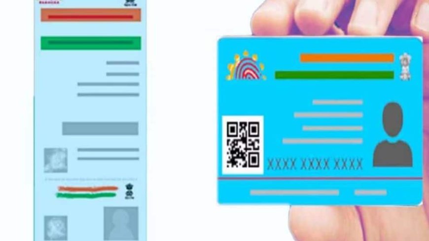 What Is Blue Aadhaar Card? Find Out How To Apply & More Details