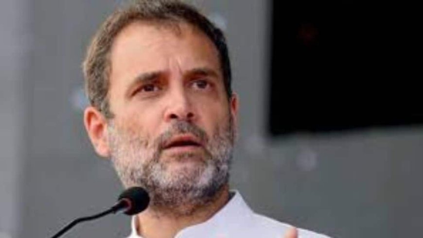 Parliamentary Standing Committees For 2024-2025 Announced, Rahul Gandhi Joins Defence Panel