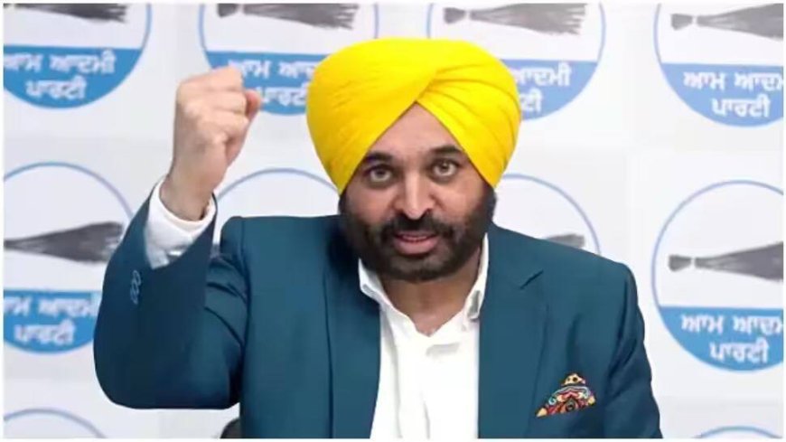 Punjab CM Bhagwant Mann Battles Leptospirosis; Know About This Deadly Infection Caused By Rats