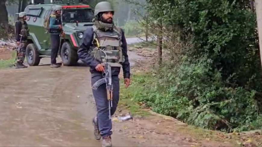 J&K News: Terrorists Holed Up In Kathua Ahead Of Assembly Polls Phase-3 Voting , Ops On