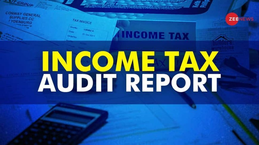 Income Tax Audit Report Deadline Extended For AY 2024-25: Check New Date, Penalty, And How To Submit Online