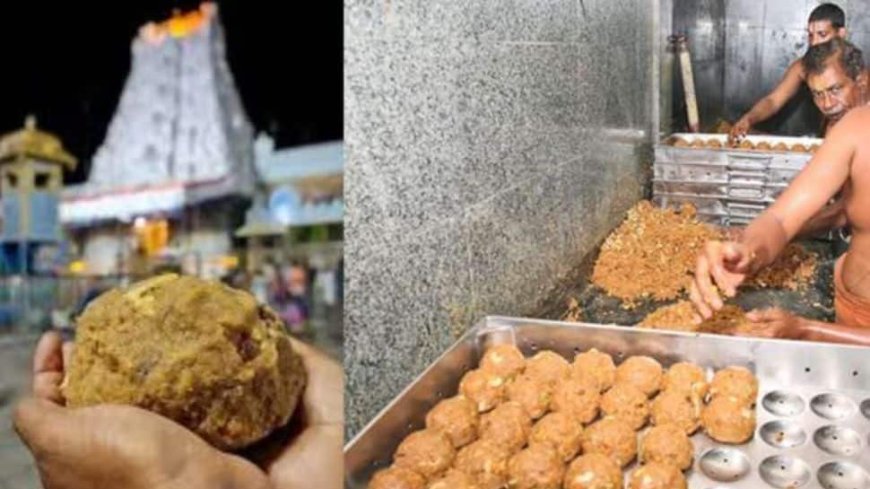 Tirupati Laddoo Case: SIT Investigation Suspended Until October 3 Amid SC Hearing