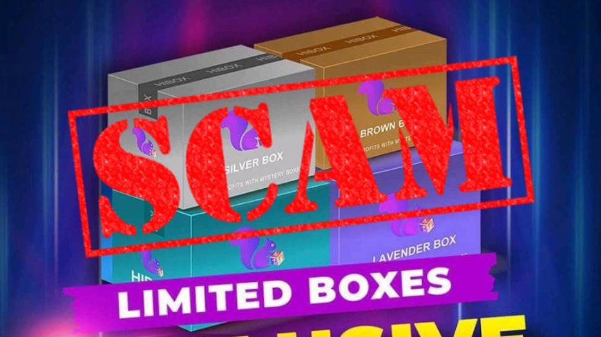 Hibox Mystery Box Scam: App Endorsed By Elvish Yadav Accused Of Cheating 30,000 People