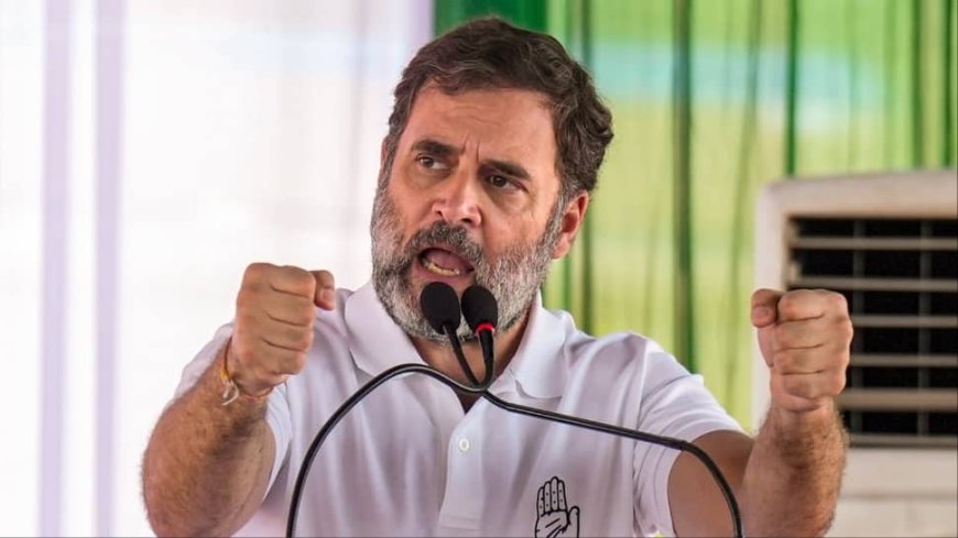 `BJP People Spread Hatred`: Rahul Attacks Saffron Camp In Haryana, Bats For `Mohabbat Ki Dukan`