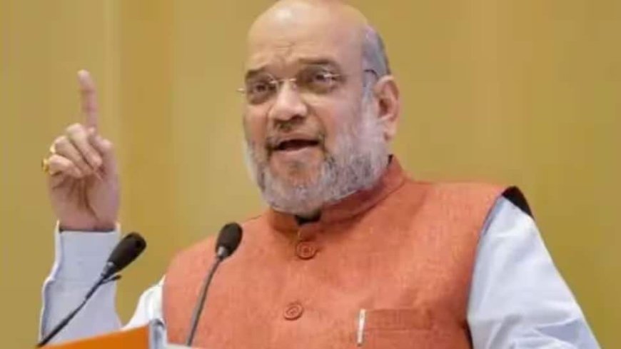 `194 Naxals Killed, 801 Arrested This Year`: Shah On Anti-Naxal Ops In Chattisgarh