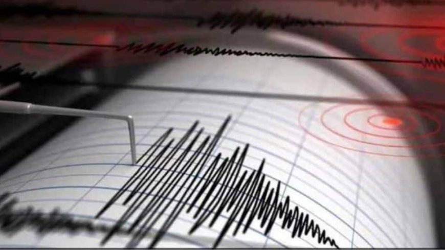 4.2 Magnitude Earthquake Shakes Assam`s Udalguri