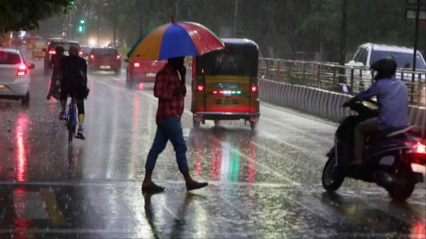 Weather Update: Heavy Rain Likely In Tamil Nadu, Orange Alert Issued In These Districts