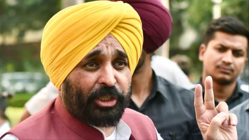 `If PM Modi Can Stop Ukraine War...`: Bhagwant Mann Seeks Centre`s Intervention Over Stubble Burning Issue